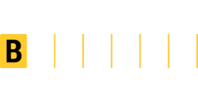 partners who work with Boomerang