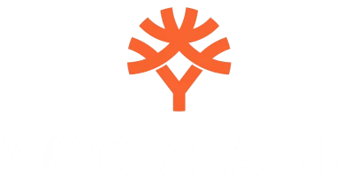 भागीदार जो Boomerang के साथ काम करते हैं